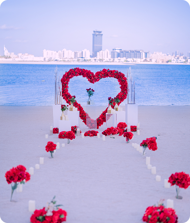 Make your dream proposal